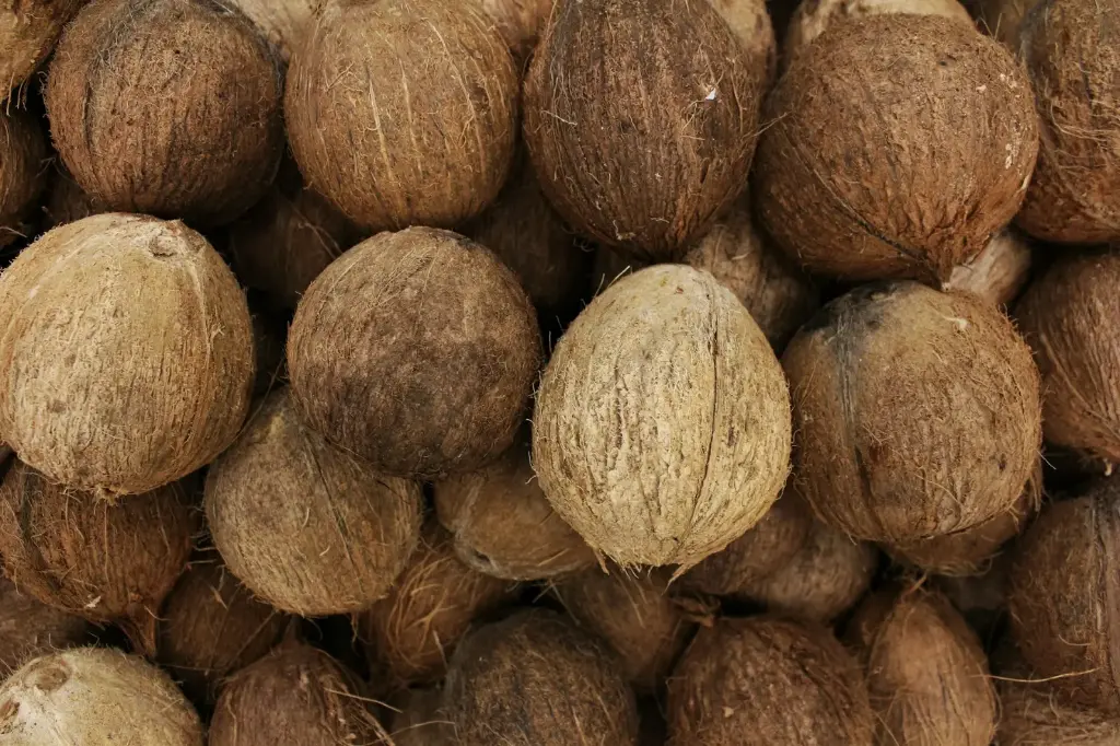 unsplash_9tKhImKqREQ_coconut.webp