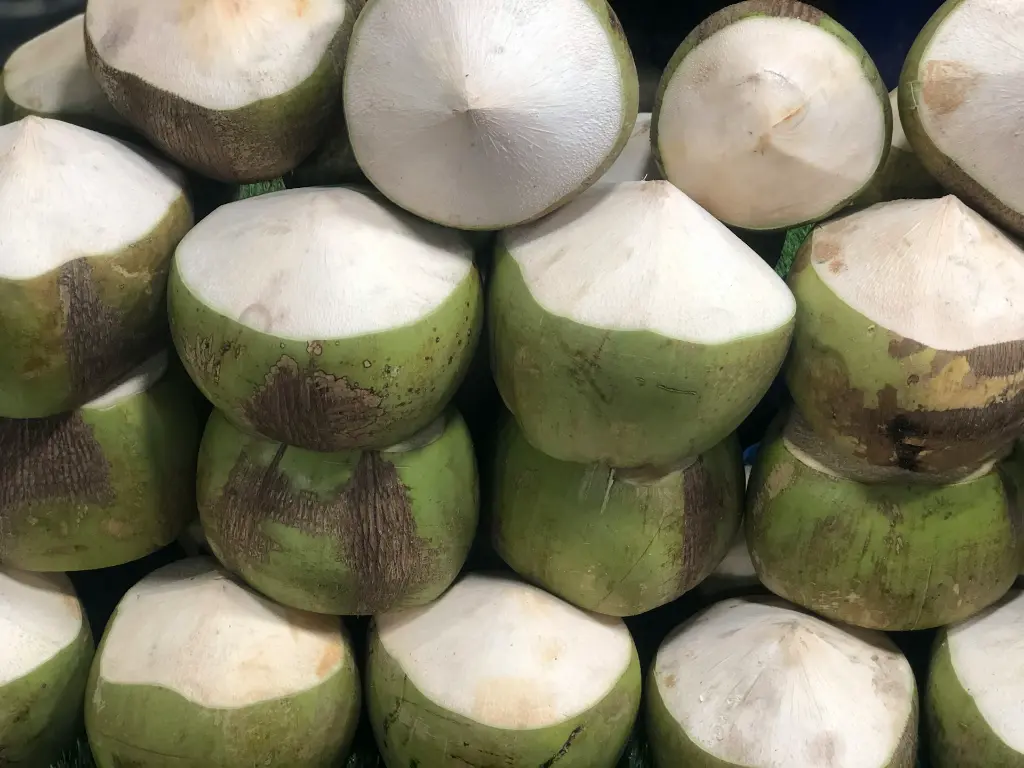 unsplash_15-dLesZL9Q_tender coconut.webp