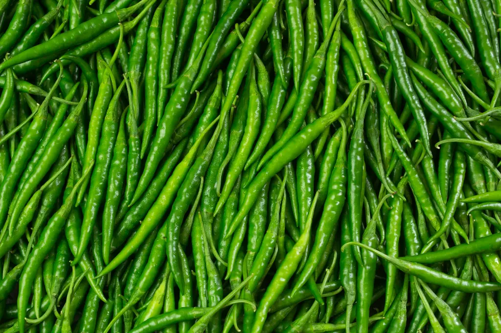unsplash_FvvgvCO-0gI_green chilli.webp