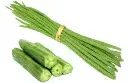 fresh-drumsticks-1609223788-5670670.webp