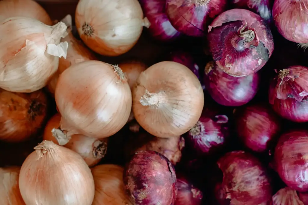 unsplash_GrHWJVA1KTA_onion.webp
