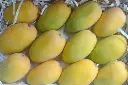 kesar-mango-1629097109-5943450.webp