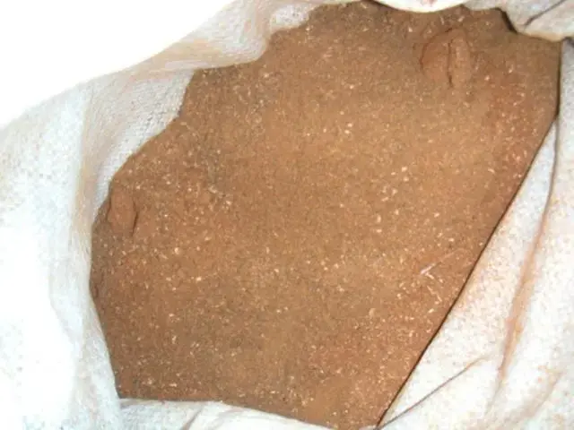 fish_meal_africa_sk.webp