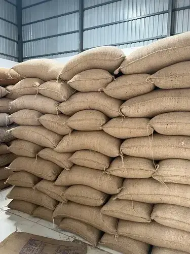 groundnut-peanuts-seeds-500x500.webp