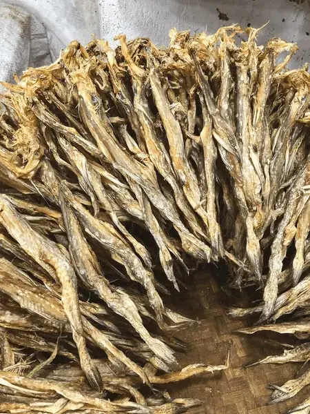 dried-bombay-duck-fish-stacked-600nw-2449817543.webp