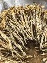 dried-bombay-duck-fish-stacked-600nw-2449817543.webp