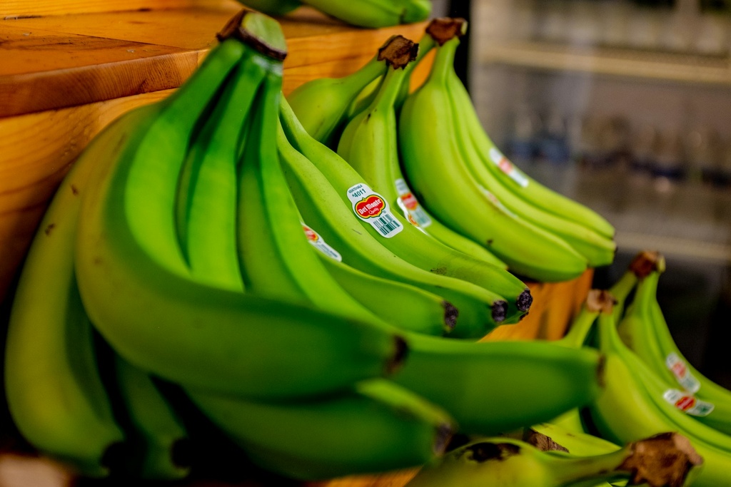 Indian Banana