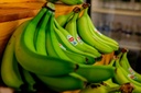 Indian Banana